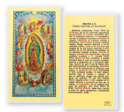 A Nuestra Senora De Guadalupe Con Visiones Laminated Spanish Prayer Card