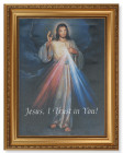 Divine Mercy 12x16 Framed Canvas