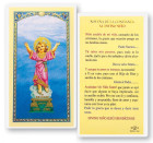Divino Nino Novena Confianza Laminated Spanish Prayer Card