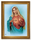 Immaculate Heart of Mary 19x27 Framed Print Artboard