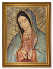 Our Lady of Guadalupe 19x27 Framed Print Artboard