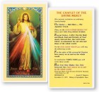 Chaplet of The Divine Mercy Laminated Prayer Cards 25 Pack