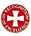 In Recognition Lapel Pin