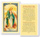 Devotions of The Blessed Virgin Mary Laminated Prayer Card