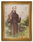 Saint Francis with Birds 19x27 Framed Print Artboard