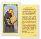 Trece Minutos A San Antonio Laminated Spanish Prayer Card