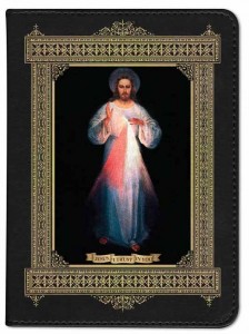 Divine Mercy Vilnius Catholic Bible [NGB006]