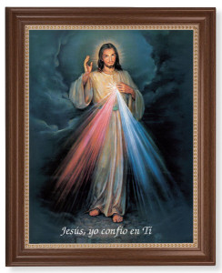 Divine Mercy in Spanish 11x14 Framed Print Artboard [HFA4999]