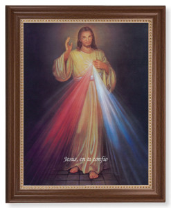 Divine Mercy in Spanish 11x14 Framed Print Artboard [HFA5080]