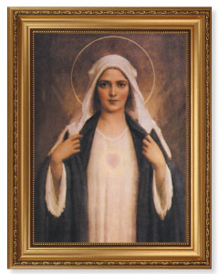 Immaculate Heart of Mary 12x16 Framed Print Artboard [HFA5146]