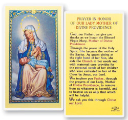 Our Lady of Divine Providence Laminated Prayer Card [HPR278]