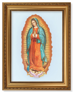 Our Lady of Guadalupe 12x16 Framed Print Artboard [HFA5149]