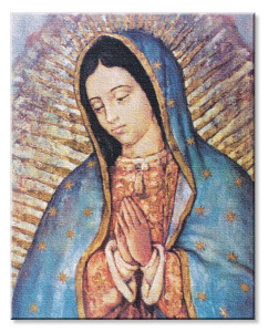 Our Lady of Guadalupe 8x10 Stretched Canvas Print [HFA4749]