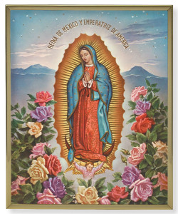 Our Lady of Guadalupe Gold Frame 8x10 Plaque [HFA4920]