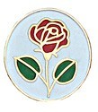 Rose Pin [TCG0166]