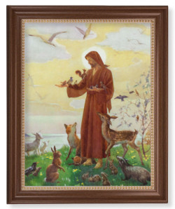 Saint Francis 11x14 Framed Print Artboard [HFA5052]