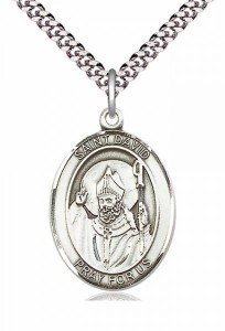 St. David of Wales Medal [EN6063]