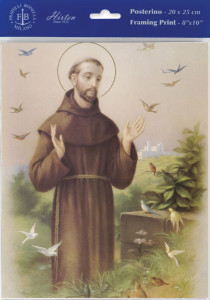 St. Francis Print - Sold in 3 per pack [HFA1165]
