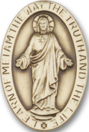 Scapular Visor Clip