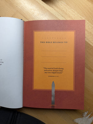 The Story of All Stories: A Catholic Bible for the Next Generation