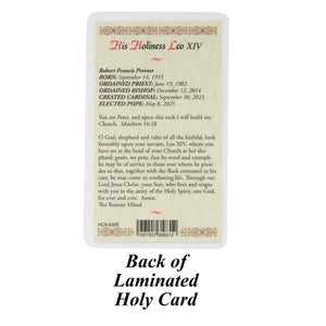 Pope Leo XIV Pectoral Cross Necklace with Holy Card