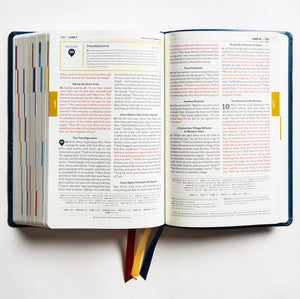 Great Adventure Catholic Bible, 2nd Ed. – Leatherlike Cover