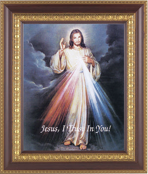 Divine Mercy 8x10 Framed Print Under Glass