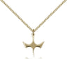Small Holy Spirit Medal