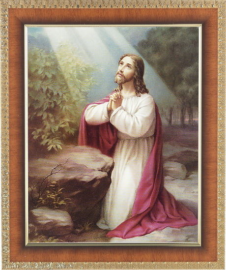 Jesus at the Mount of Olives 8x10 Framed Print Under Glass
