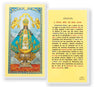 Oracion A Nuestra Senora De San Juan Laminated Spanish Prayer Card