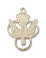 Holy Spirit Unity Medal