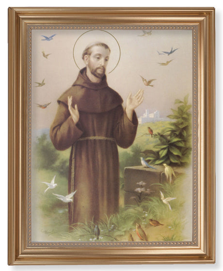 Saint Francis with Birds 11x14 Framed Print Artboard
