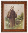 St. Francis of Assisi 8x10 Framed Print Under Glass