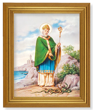 St. Patrick 8x10 Framed Print Under Glass
