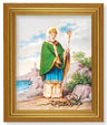 St. Patrick 8x10 Framed Print Under Glass