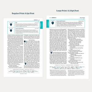 Large Print Great Adventure Catholic Bible, 2nd Ed. – Leatherlike Cover