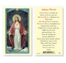 Anima Christi Laminated Prayer Card