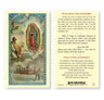 Words of Our Lady of Guadalupe Laminated Prayer Card