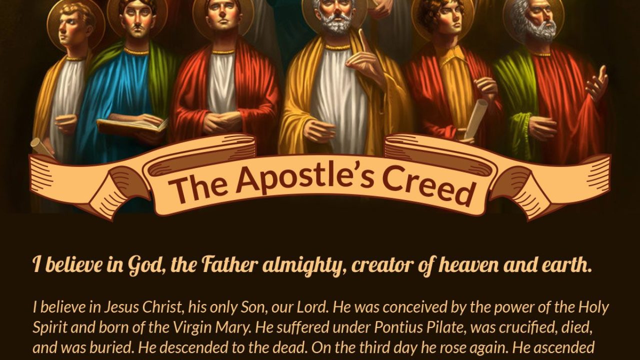 Creed the catholic apostle What are
