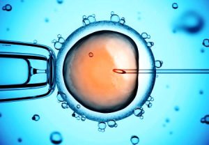 Is IVF Immoral in the Eyes of the Catholic Church? - Catholic Faith Store
